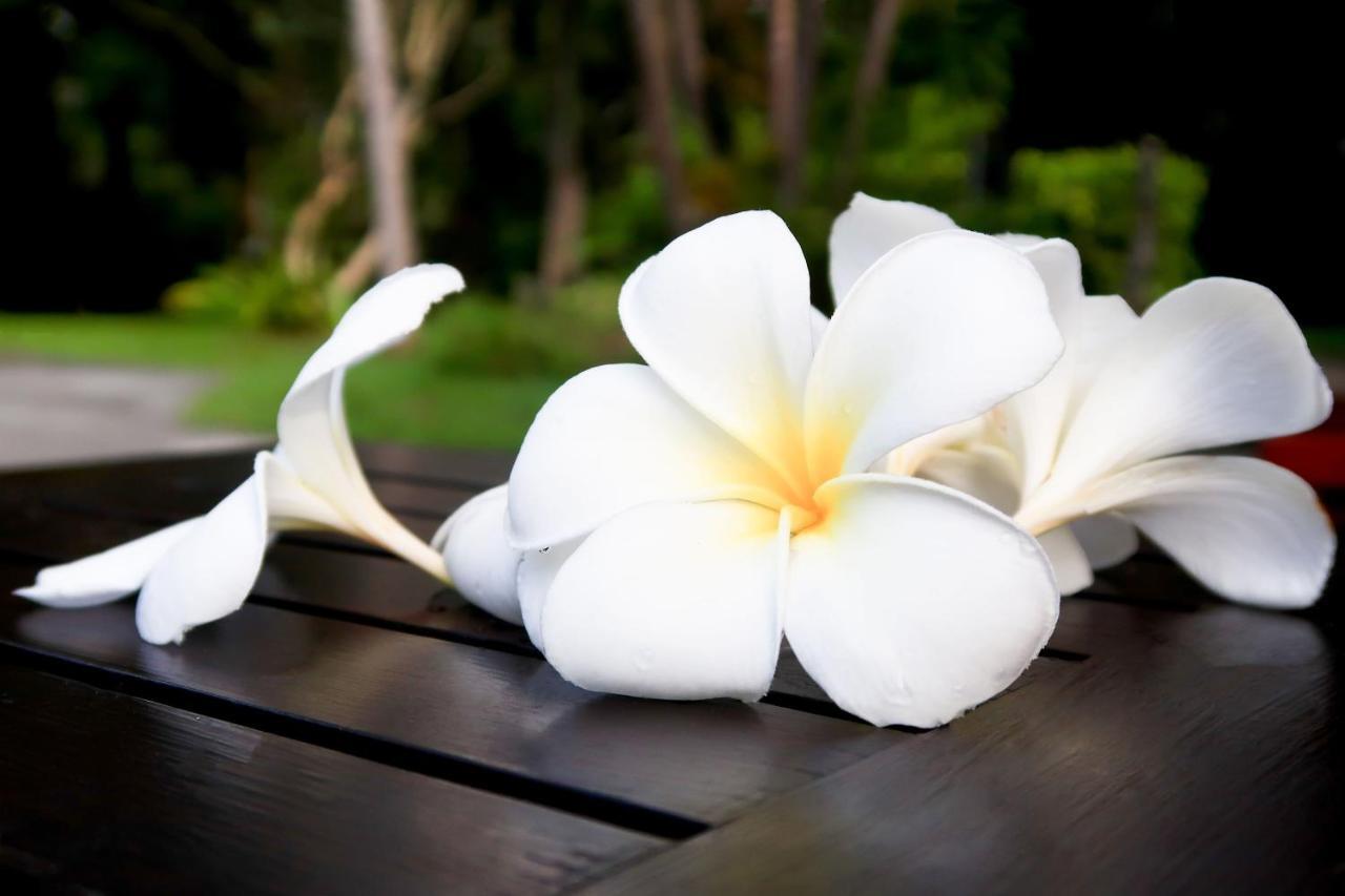 Resort Deevana Resort&spa - Sha